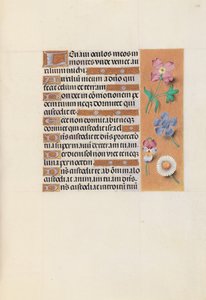 Izabella katolikus királyné, spanyol királynő órái: Fol. 133r, c. 1500. alkotó: Master of the First Prayerbook of Maximillian