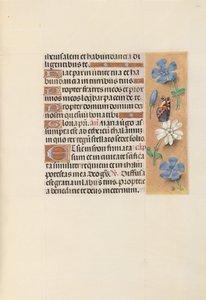 Izabella katolikus királyné, spanyol királynő órái: Fol. 134r, c. 1500. alkotó: Master of the First Prayerbook of Maximillian