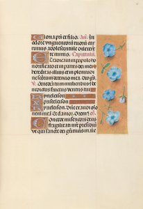 Izabella katolikus királyné, spanyol királynő órái: Fol. 139r, c. 1500. alkotó: Master of the First Prayerbook of Maximillian
