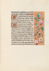 Izabella katolikus királyné, spanyol királynő órái: Fol. 145r, c. 1500. alkotó: Master of the First Prayerbook of Maximillian
