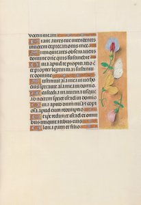 Izabella katolikus királyné, spanyol királynő órái: Fol. 156r, c. 1500. alkotó: Master of the First Prayerbook of Maximillian