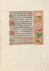 Izabella katolikus királyné, spanyol királynő órái: Fol. 157r, c. 1500. alkotó: Master of the First Prayerbook of Maximillian