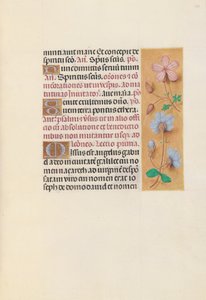 Izabella katolikus királyné, spanyol királynő órái: Fol. 162r, c. 1500. alkotó: Master of the First Prayerbook of Maximillian