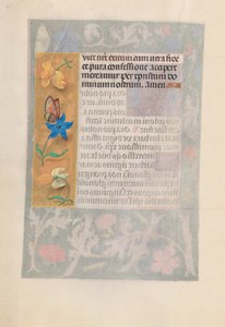 Izabella katolikus királyné, spanyol királynő órái: Fol. 192v, c. 1500. alkotó: Master of the First Prayerbook of Maximillian