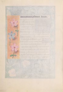 Izabella katolikus királyné, spanyol királynő órái: Fol. 194v, c. 1500. alkotó: Master of the First Prayerbook of Maximillian