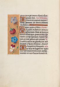 Izabella katolikus királyné, spanyol királynő órái: Fol. 19v, c. 1500. alkotó: Master of the First Prayerbook of Maximillian