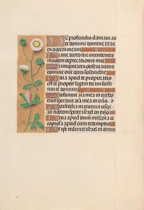 Izabella katolikus királyné, spanyol királynő órái: Fol. 208V, c. 1500. alkotó: Master of the First Prayerbook of Maximillian