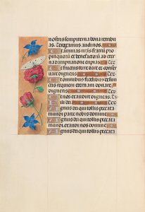 Izabella katolikus királyné, spanyol királynő órái: Fol. 214v, c. 1500. alkotó: Master of the First Prayerbook of Maximillian