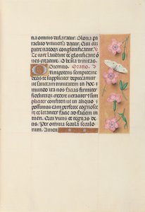Izabella katolikus királyné, spanyol királynő órái: Fol. 21r, c. 1500. alkotó: Master of the First Prayerbook of Maximillian