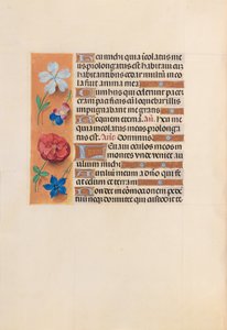Izabella katolikus királyné, spanyol királynő órái: Fol. 221v, c. 1500. alkotó: Master of the First Prayerbook of Maximillian