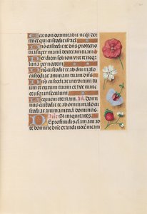 Izabella katolikus királyné, spanyol királynő órái: Fol. 222r, c. 1500. alkotó: Master of the First Prayerbook of Maximillian
