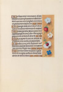 Izabella katolikus királyné, spanyol királynő órái: Fol. 230r, c. 1500. alkotó: Master of the First Prayerbook of Maximillian