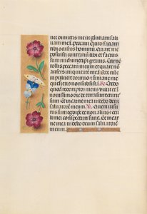 Izabella katolikus királyné, spanyol királynő órái: Fol. 231v, c. 1500. alkotó: Master of the First Prayerbook of Maximillian