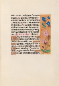 Izabella katolikus királynő, Spanyolország királynőjének órái:  Fol. 233r alkotó: Master of the First Prayerbook of Maximillian