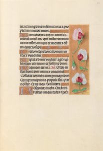 Izabella katolikus királyné, spanyol királynő órái: Fol. 237r, c. 1500. alkotó: Master of the First Prayerbook of Maximillian