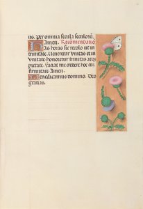 Izabella katolikus királyné, spanyol királynő órái: Fol. 23r, c. 1500. alkotó: Master of the First Prayerbook of Maximillian