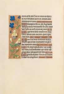 Izabella katolikus királyné, spanyol királynő órái: Fol. 241v, c. 1500. alkotó: Master of the First Prayerbook of Maximillian