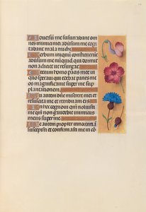 Izabella katolikus királyné, spanyol királynő órái: Fol. 242r, c. 1500. alkotó: Master of the First Prayerbook of Maximillian