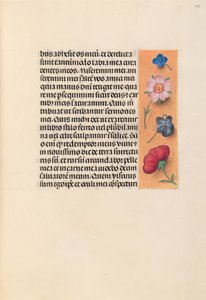 Izabella katolikus királyné, spanyol királynő órái: Fol. 245r, c. 1500. alkotó: Master of the First Prayerbook of Maximillian
