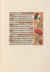 Izabella katolikus királynő, Spanyolország királynőjének órái:  Fol. 249r alkotó: Master of the First Prayerbook of Maximillian