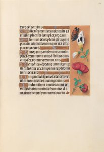 Izabella katolikus királyné, spanyol királynő órái: Fol. 249r, c. 1500. alkotó: Master of the First Prayerbook of Maximillian