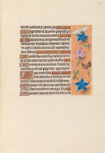 Izabella katolikus királyné, spanyol királynő órái: Fol. 253r, c. 1500. alkotó: Master of the First Prayerbook of Maximillian