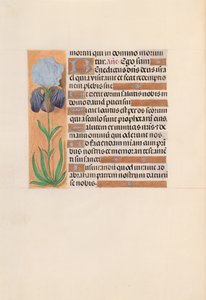 Izabella katolikus királyné, spanyol királynő órái: Fol. 254v, c. 1500. alkotó: Master of the First Prayerbook of Maximillian