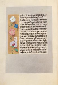 Izabella katolikus királyné, spanyol királynő órái: Fol. 258V, c. 1500. alkotó: Master of the First Prayerbook of Maximillian
