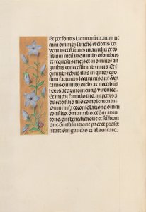 Izabella katolikus királyné, spanyol királynő órái: Fol. 259v, c. 1500. alkotó: Master of the First Prayerbook of Maximillian