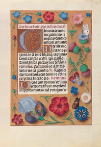 Izabella katolikus királyné, spanyol királynő órái: Fol. 25r, c. 1500. alkotó: Master of the First Prayerbook of Maximillian