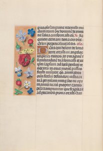 Izabella katolikus királyné, spanyol királynő órái: Fol. 29V, c. 1500. alkotó: Master of the First Prayerbook of Maximillian