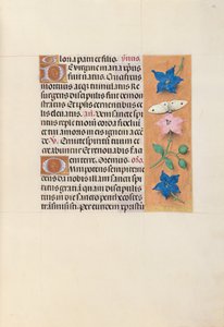 Izabella katolikus királyné, spanyol királynő órái: Fol. 33r, c. 1500. alkotó: Master of the First Prayerbook of Maximillian