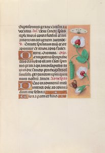 Izabella katolikus királyné, spanyol királynő órái: Fol. 35r, c. 1500. alkotó: Master of the First Prayerbook of Maximillian