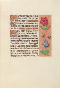 Izabella katolikus királyné, spanyol királynő órái: Fol. 36r, c. 1500. alkotó: Master of the First Prayerbook of Maximillian