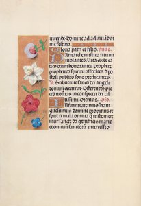 Izabella katolikus királyné, spanyol királynő órái: Fol. 39v, c. 1500. alkotó: Master of the First Prayerbook of Maximillian