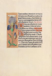 Izabella katolikus királyné, spanyol királynő órái: Fol. 45V, c. 1500. alkotó: Master of the First Prayerbook of Maximillian