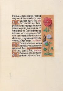 Izabella katolikus királyné, spanyol királynő órái: Fol. 46r, c. 1500. alkotó: Master of the First Prayerbook of Maximillian
