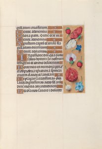 Izabella katolikus királyné, spanyol királynő órái: Fol. 52r, c. 1500. alkotó: Master of the First Prayerbook of Maximillian