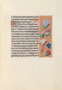 Izabella katolikus királyné, spanyol királynő órái: Fol. 54r, c. 1500. alkotó: Master of the First Prayerbook of Maximillian