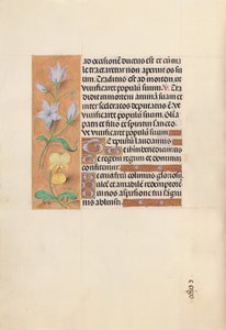 Izabella katolikus királyné, spanyol királynő órái: Fol. 55V, c. 1500. alkotó: Master of the First Prayerbook of Maximillian
