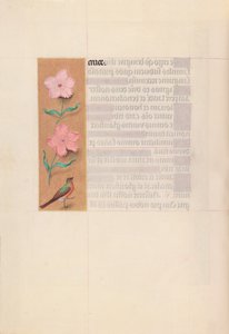 Izabella katolikus királyné, spanyol királynő órái: Fol. 56v, c. 1500. alkotó: Master of the First Prayerbook of Maximillian