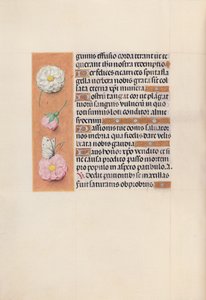 Izabella katolikus királyné, spanyol királynő órái: Fol. 58V, c. 1500. alkotó: Master of the First Prayerbook of Maximillian