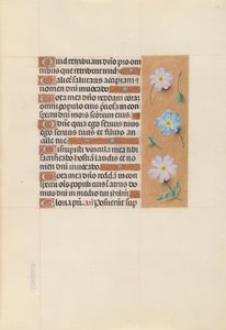Izabella katolikus királyné, spanyol királynő órái: Fol. 67r, c. 1500. alkotó: Master of the First Prayerbook of Maximillian