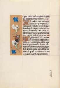 Izabella katolikus királynő, Spanyolország királynőjének órái:  Fol. 67v alkotó: Master of the First Prayerbook of Maximillian