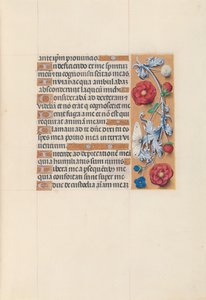 Izabella katolikus királyné, spanyol királynő órái: Fol. 70r, c. 1500. alkotó: Master of the First Prayerbook of Maximillian