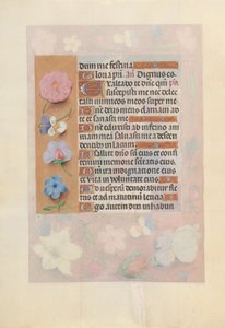 Izabella katolikus királynő, Spanyolország királynőjének órái:  Fol. 73v alkotó: Master of the First Prayerbook of Maximillian