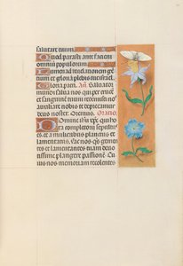 Izabella katolikus királyné, spanyol királynő órái: Fol. 79r, c. 1500. alkotó: Master of the First Prayerbook of Maximillian