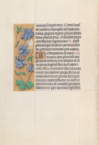Izabella katolikus királyné, spanyol királynő órái: Fol. 83v, c. 1500. alkotó: Master of the First Prayerbook of Maximillian