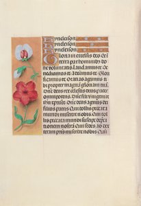 Izabella katolikus királyné, spanyol királynő órái: Fol. 89v, c. 1500. alkotó: Master of the First Prayerbook of Maximillian