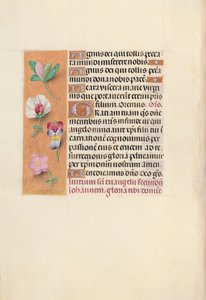 Izabella katolikus királyné, spanyol királynő órái: Fol. 92v, c. 1500. alkotó: Master of the First Prayerbook of Maximillian
